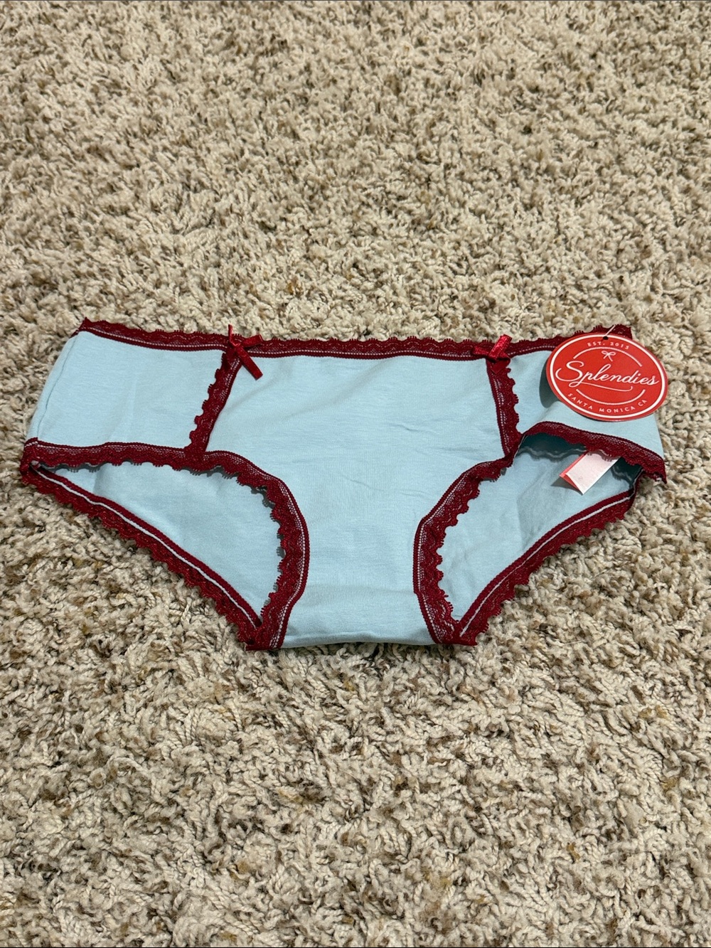 Cotton Bikini Briefs with Burgundy Lace Trim - Light Blue